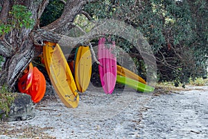Colourful Kayaks stacked under a tree