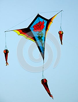 Colourful kites