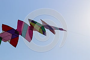 Colourful kites flying in the sky