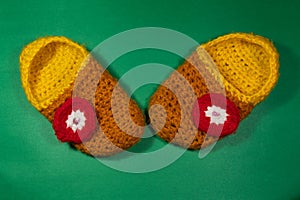 Colourful knitted Slippers on a green background