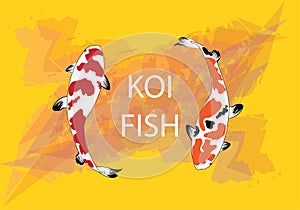 Colourful Koi Carp Fishes illustration graphic vector - Koi fish red, black and yellow pattern