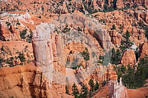 Colourful landscapes in Bryce Canyon National Park, Utah, USA.