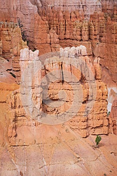 Colourful landscapes in Bryce Canyon National Park, Utah, USA.