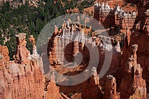 Colourful landscapes in Bryce Canyon National Park, Utah, USA.