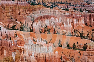 Colourful landscapes in Bryce Canyon National Park, Utah, USA.