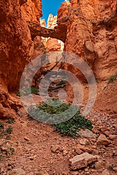 Colourful landscapes in Bryce Canyon National Park, Utah, USA.