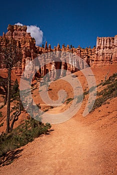 Colourful landscapes in Bryce Canyon National Park, Utah, USA.