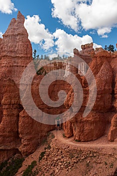 Colourful landscapes in Bryce Canyon National Park, Utah, USA.