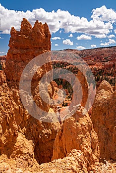 Colourful landscapes in Bryce Canyon National Park, Utah, USA.