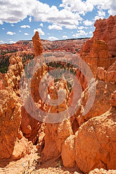 Colourful landscapes in Bryce Canyon National Park, Utah, USA.