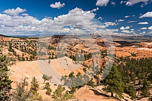 Colourful landscapes in Bryce Canyon National Park, Utah, USA.