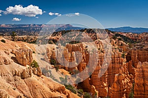 Colourful landscapes in Bryce Canyon National Park, Utah, USA.