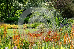 Colourful mature garden influenced by the naturalistic planting at Bressingham Gardens, Diss, Norfolk UK