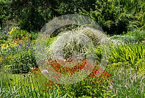 Colourful mature garden influenced by the naturalistic planting at Bressingham Gardens, Diss, Norfolk UK