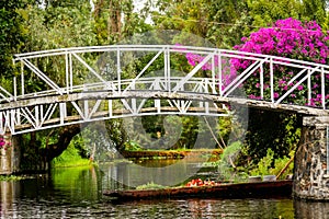 Colourful Mexico Xochimilco's Floating Gardens in Mexico City. photo