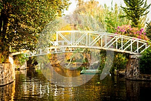 Colourful Mexico Xochimilco's Floating Gardens in Mexico City. photo