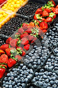 Colourful mix of different fresh berries at market. Raspberries, strawberries, blueberries and bilberries.