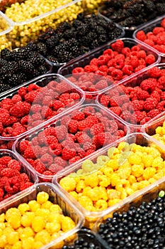 Colourful mix of different fresh berries at market. Red and yellow raspberries, blackberries and bilberries
