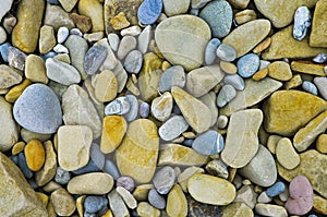 Colourful mosaic of pepple stones