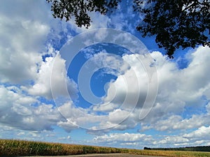 Colourful nature of Poland, autumn field