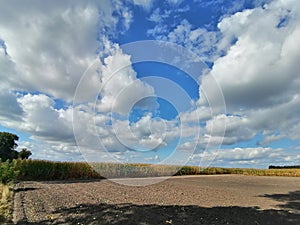 Colourful nature of Poland, autumn field