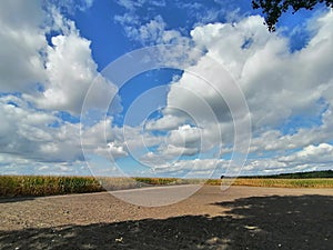 Colourful nature of Poland, autumn field