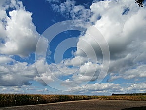 Colourful nature of Poland, autumn field