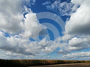 Colourful nature of Poland, autumn field