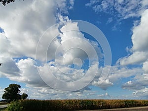 Colourful nature of Poland, autumn field