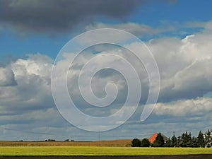 Colourful nature of Poland, autumn field