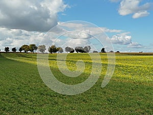 Colourful nature of Poland, autumn field