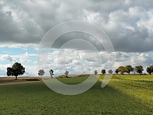 Colourful nature of Poland, autumn field