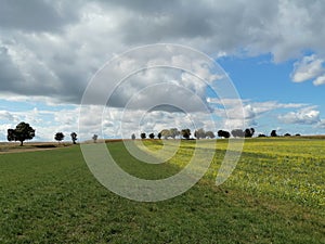 Colourful nature of Poland, autumn field