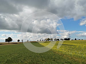 Colourful nature of Poland, autumn field