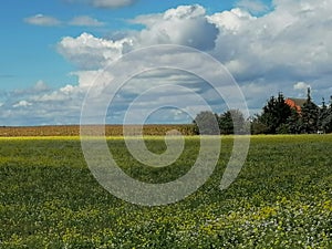 Colourful nature of Poland, autumn field