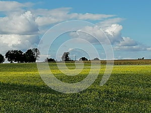 Colourful nature of Poland, autumn field