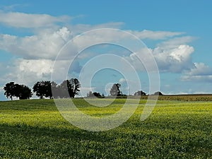 Colourful nature of Poland, autumn field