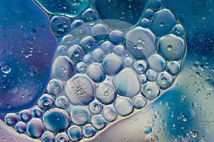 Colourful oil ink bubbles and drops. Abstract template mixed texture background. Wallpaper pattern.