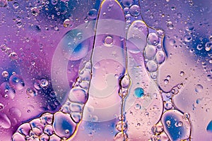 Colourful oil ink bubbles and drops. Abstract template mixed texture background. Wallpaper pattern.