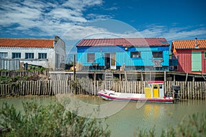 Ostriche cottage un una barca sul marittimo 