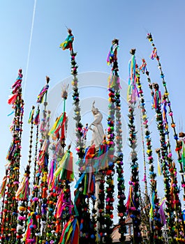 Colourful palms - Easter biblical tradition