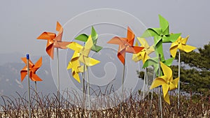 colourful paper wind mill