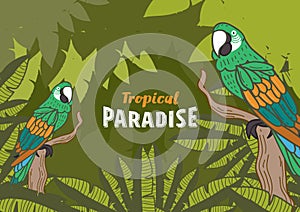 Colourful parrot and tropical paradise