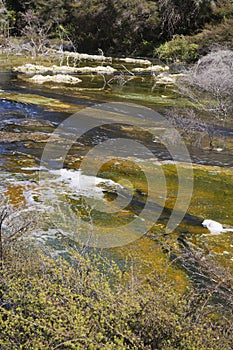 Colourful patches in the Waimangu Stream