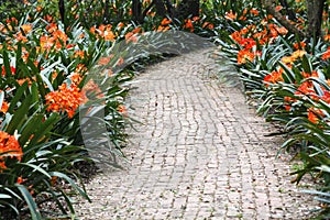 Colourful Pathway