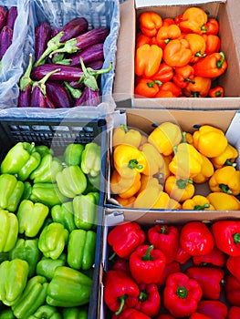 Colourful Peppers and Eggplants at Fruit and Vegetable Market photo