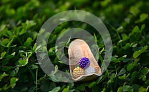 Colourful plastic balls on a brown object