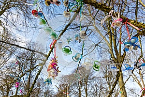 Colourful plastic pacifiers hanging in a tree