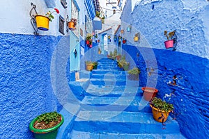 Colourful pot plants in Callejon El Asri in Chefchaouen