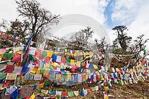 Colourful prayer flags at Pelela Pass, Bhutan